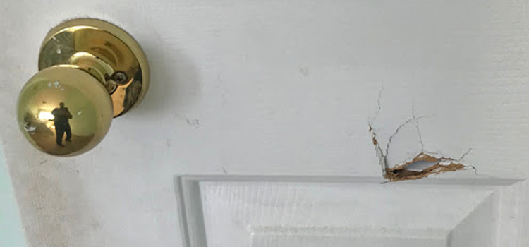 interior door hole repair Good Hope