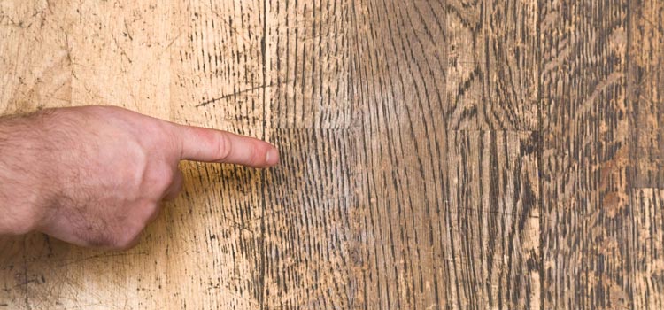 Wood Door Scratch Repair in Good Hope